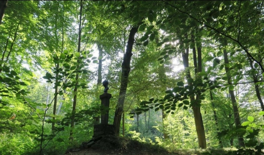 Touristinformation Seifersdorfer Talregion - Seifersdorfer Tal
